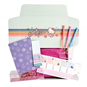 Hello Kitty Hello Kitty x Erin Condren Special Edition Gift Box Kolorowe | PL_HK59905