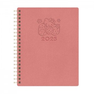 Hello Kitty Hello Kitty x Studio Oh! 2025 Desert Adventure Baxter Planner Różowe | PL_HK31436